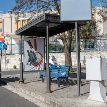 Foto del manifesto di Serena Scarito