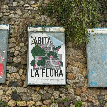 Foto del manifesto di Lucia Debole