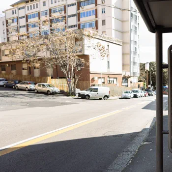 Foto del manifesto di Serena Scarito